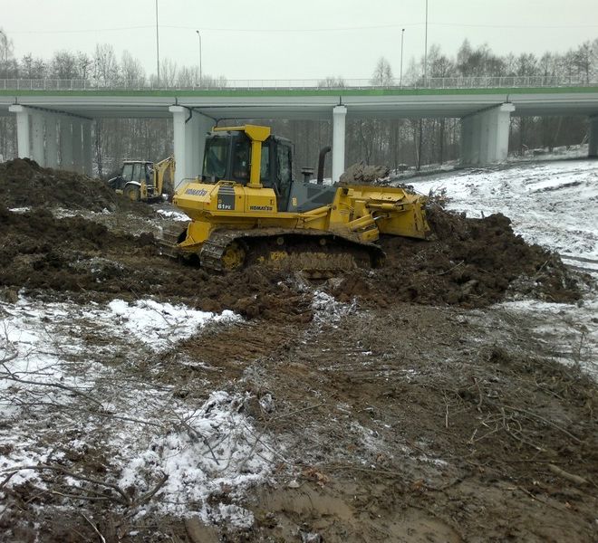 1b